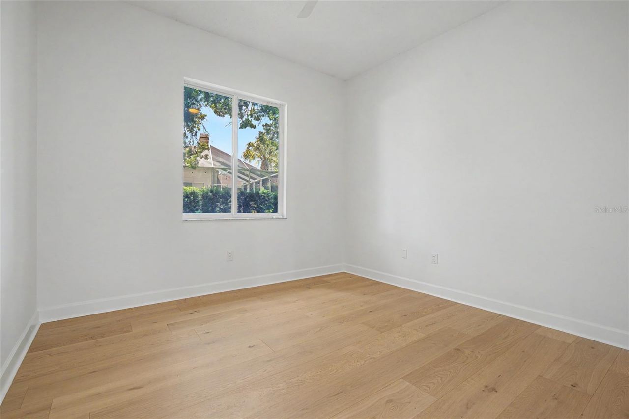 3692 Johnathon Avenue, Palm Harbor, FL 34685 Photo