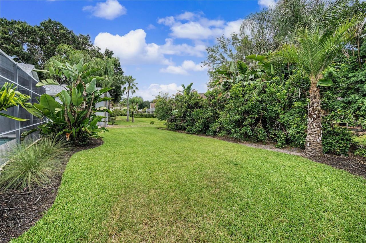 3692 Johnathon Avenue, Palm Harbor, FL 34685 Photo