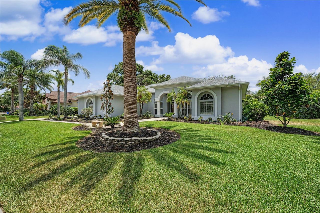 3692 Johnathon Avenue, Palm Harbor, FL 34685 Photo