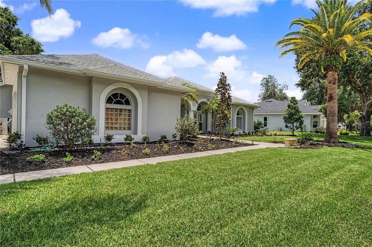 3692 Johnathon Avenue, Palm Harbor, FL 34685 Photo