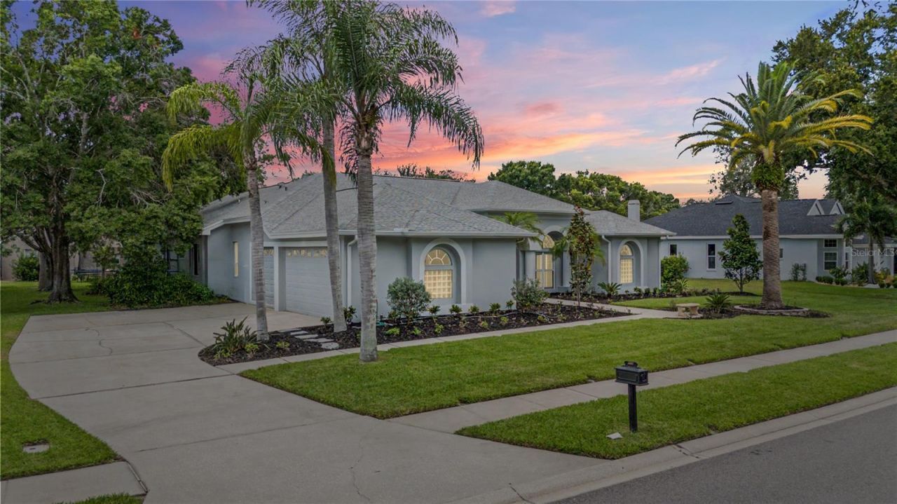 3692 Johnathon Avenue, Palm Harbor, FL 34685 Photo