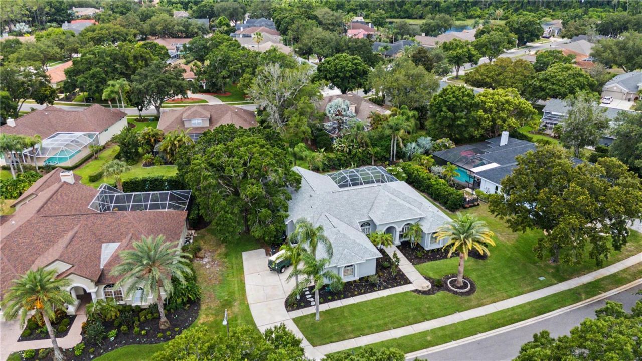 3692 Johnathon Avenue, Palm Harbor, FL 34685 Photo