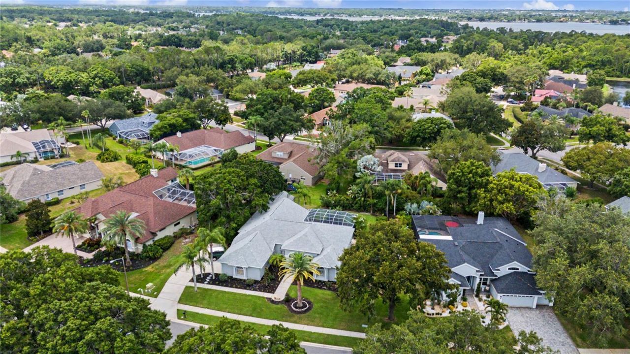 3692 Johnathon Avenue, Palm Harbor, FL 34685 Photo