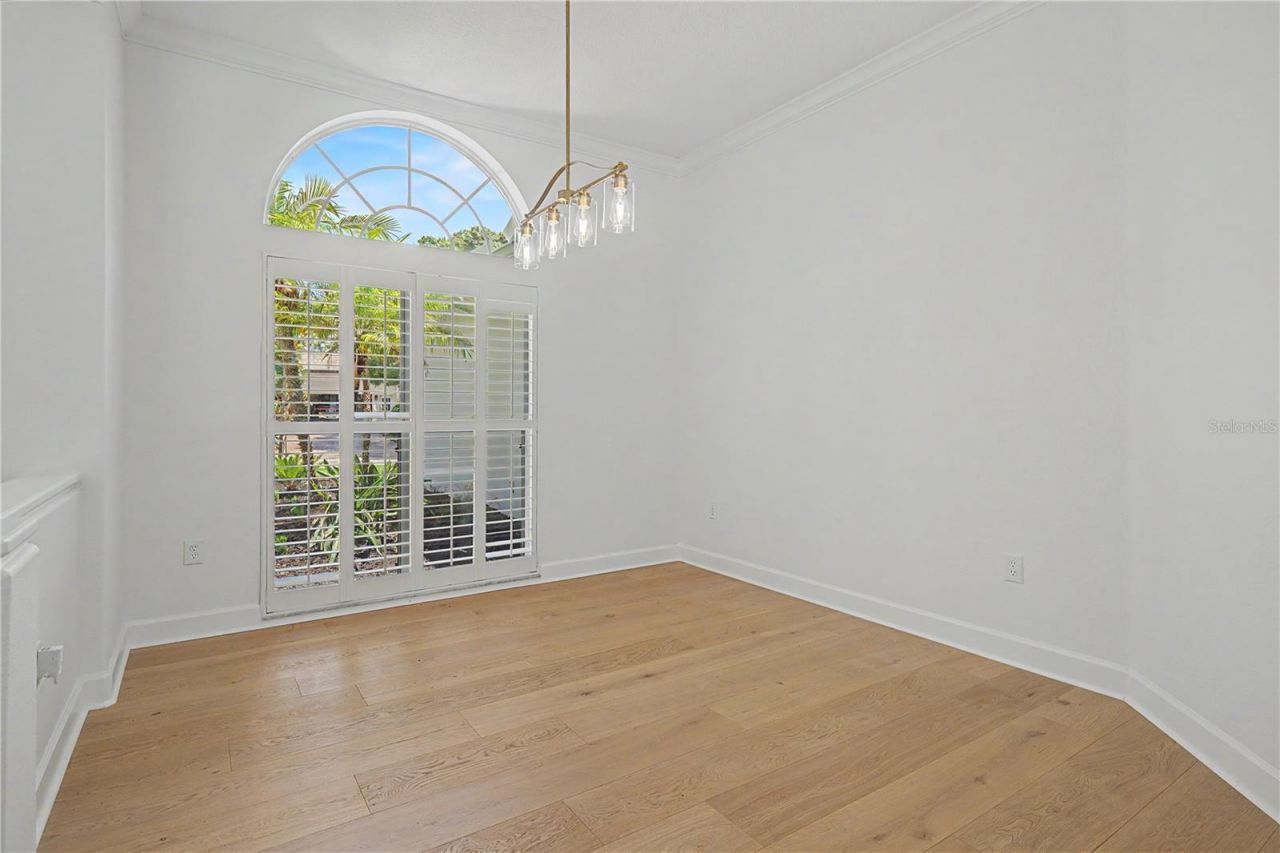 3692 Johnathon Avenue, Palm Harbor, FL 34685 Photo