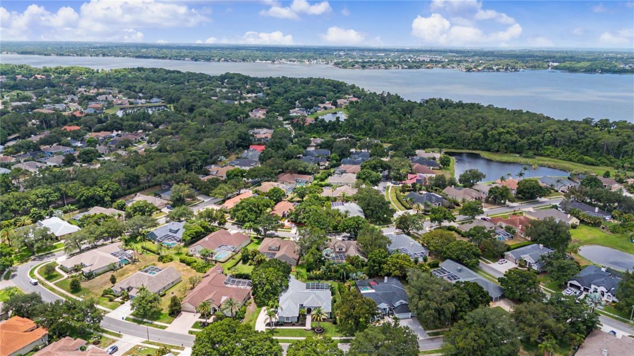 3692 Johnathon Avenue, Palm Harbor, FL 34685 Photo