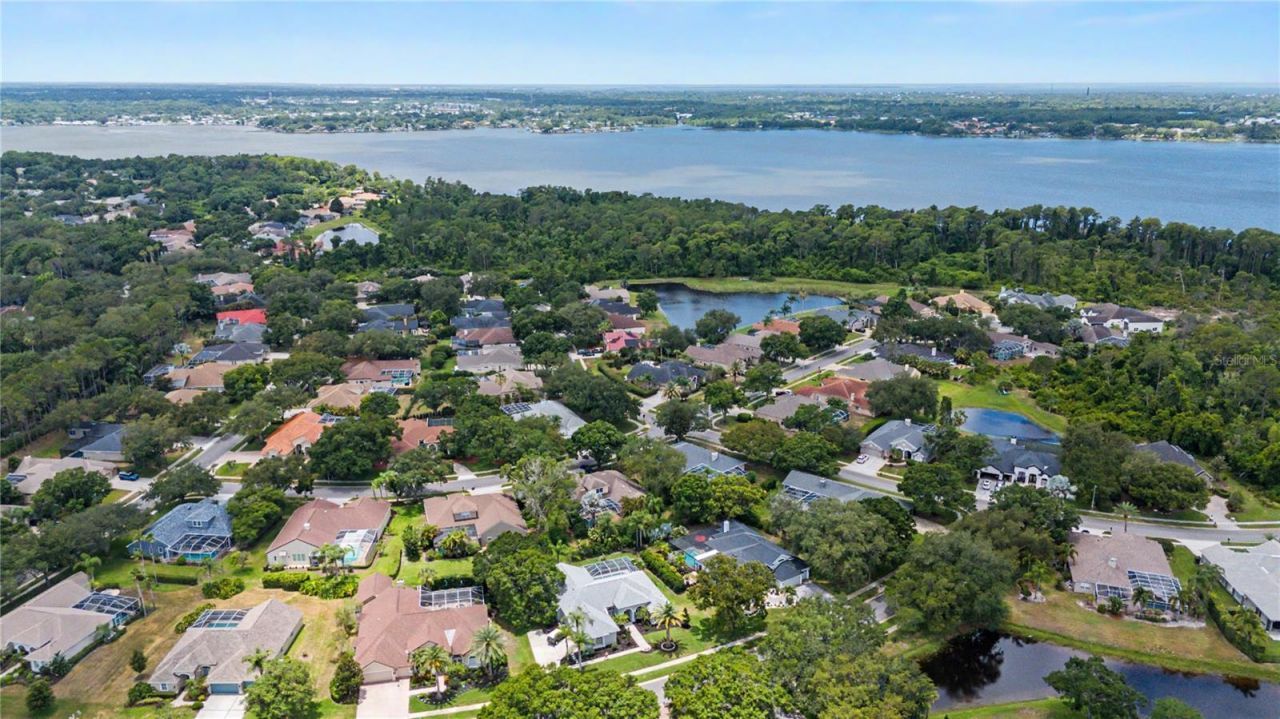 3692 Johnathon Avenue, Palm Harbor, FL 34685 Photo