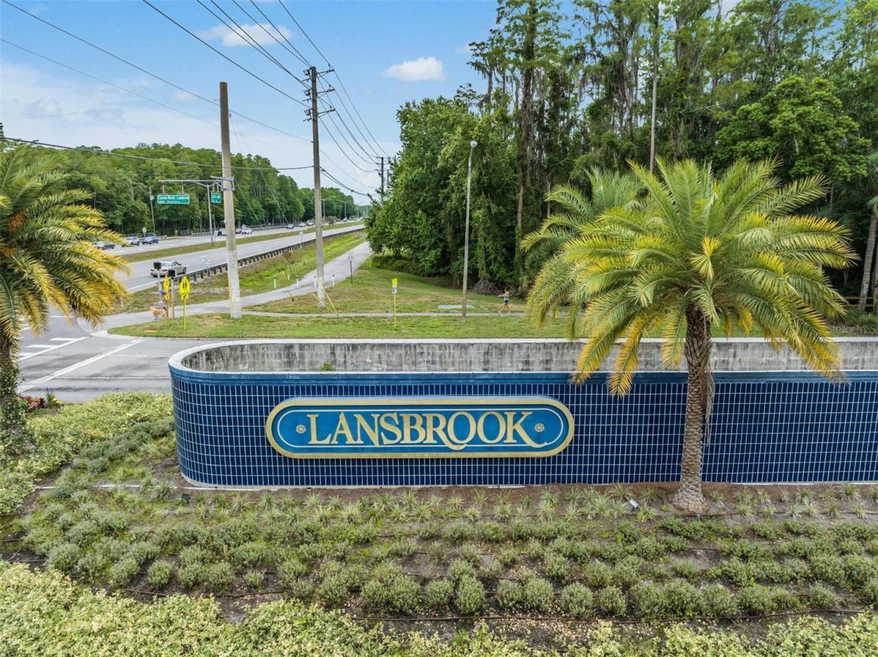 3692 Johnathon Avenue, Palm Harbor, FL 34685 Photo
