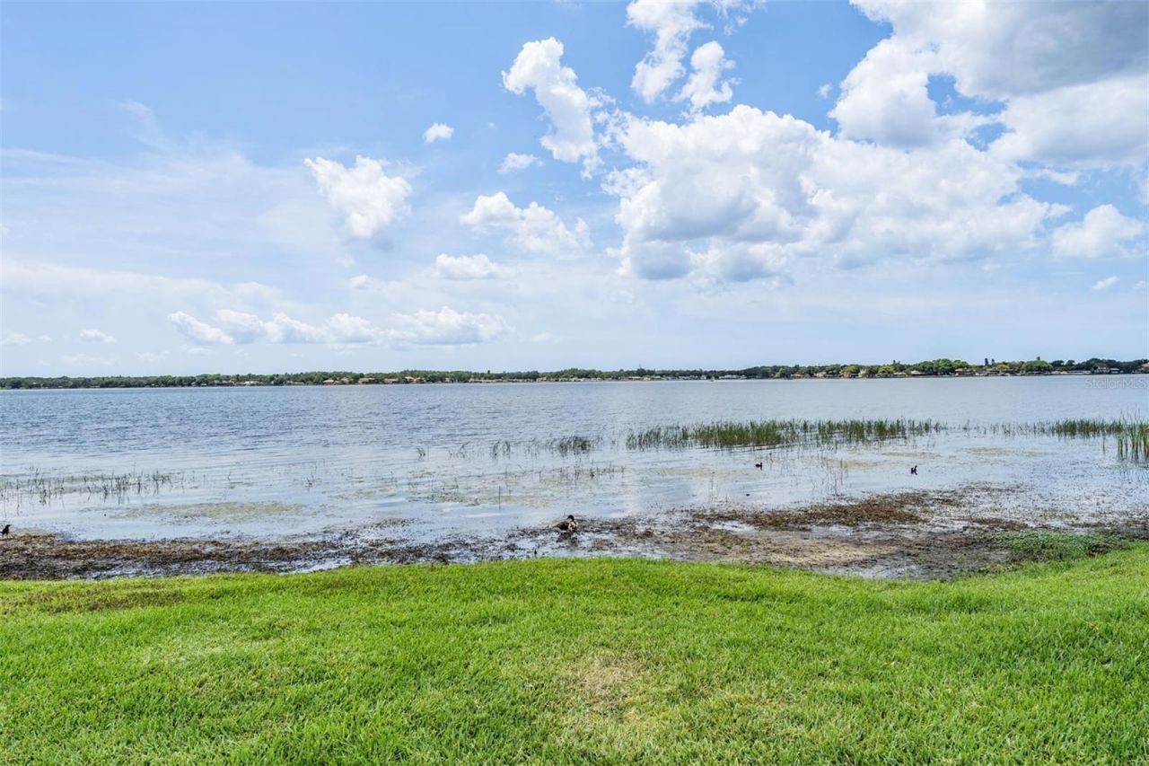 3692 Johnathon Avenue, Palm Harbor, FL 34685 Photo