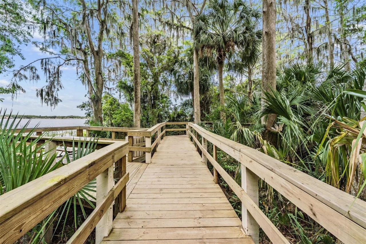 3692 Johnathon Avenue, Palm Harbor, FL 34685 Photo