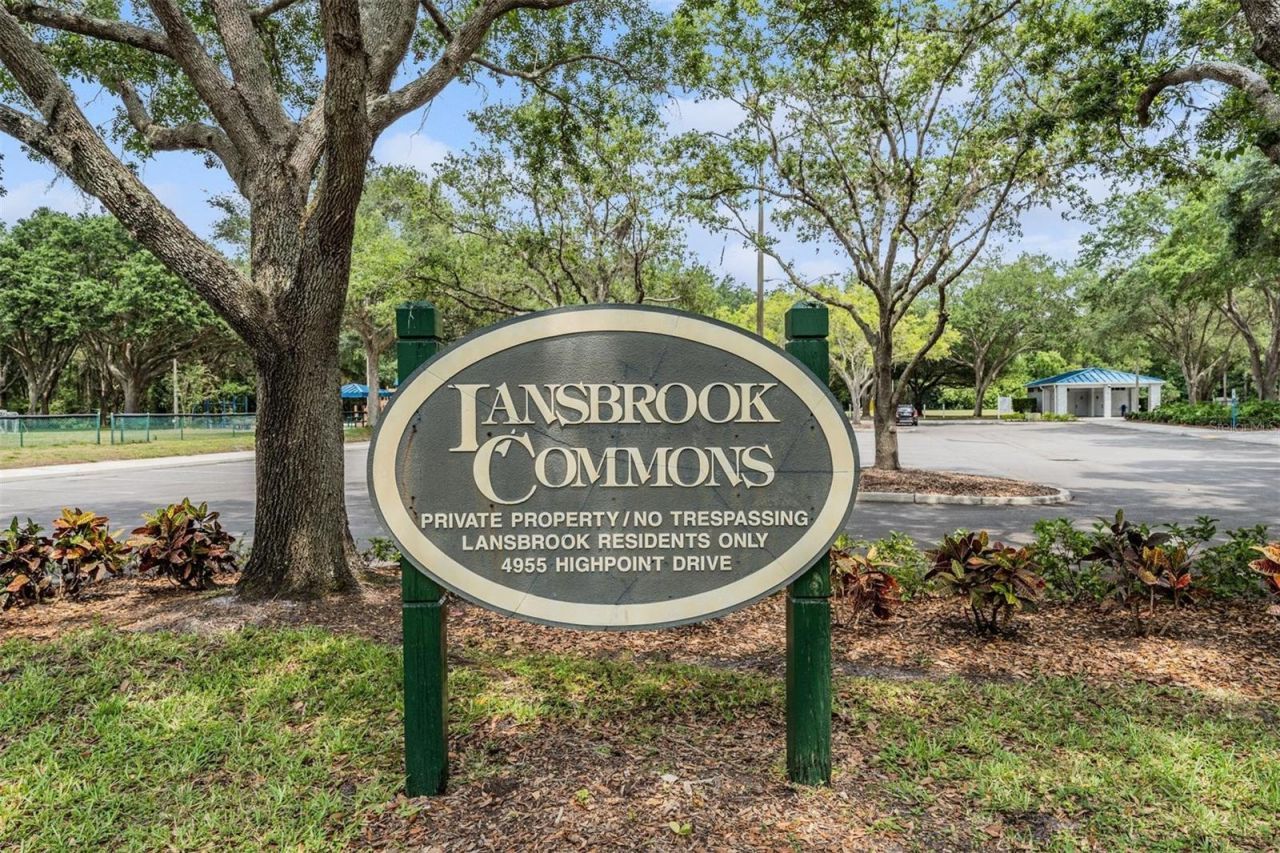 3692 Johnathon Avenue, Palm Harbor, FL 34685 Photo