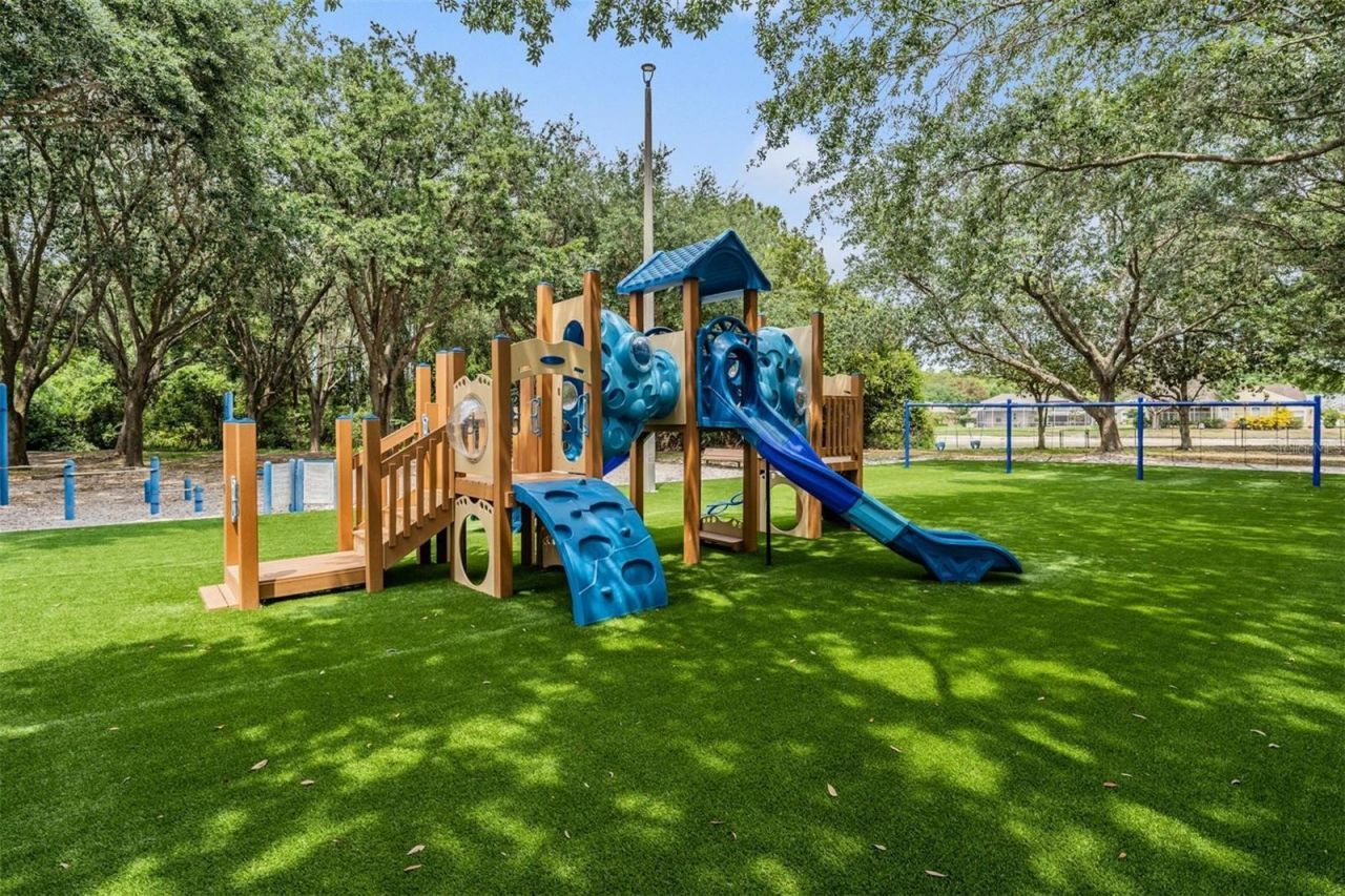 3692 Johnathon Avenue, Palm Harbor, FL 34685 Photo
