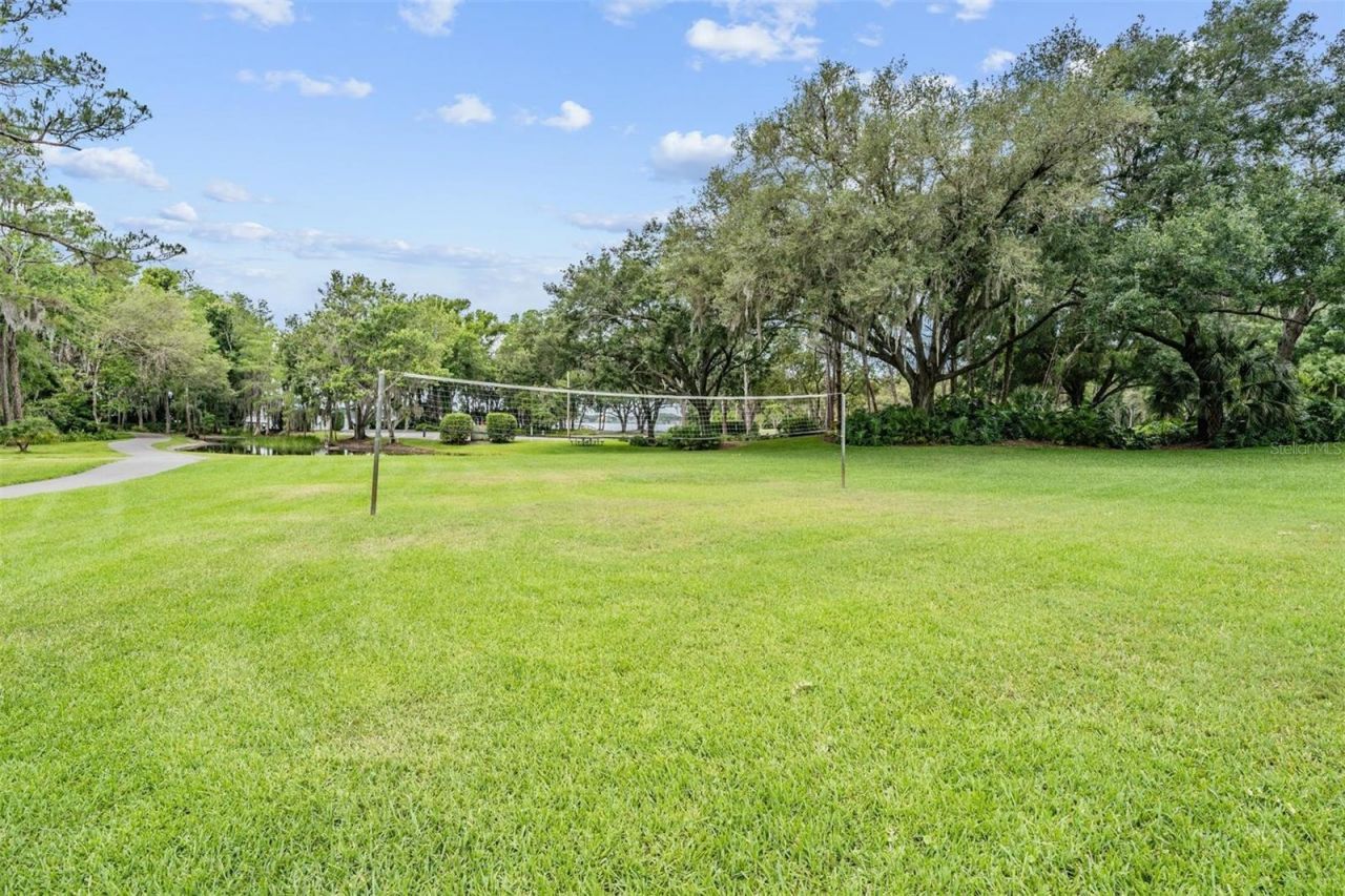 3692 Johnathon Avenue, Palm Harbor, FL 34685 Photo