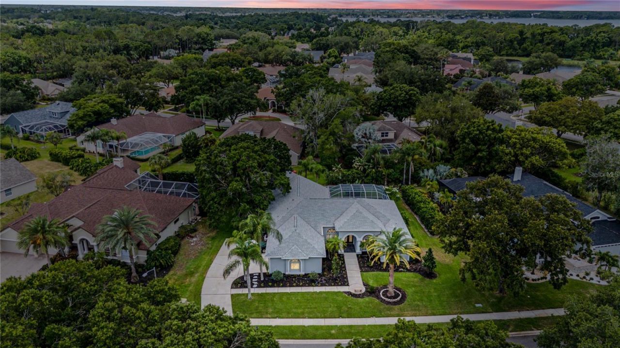3692 Johnathon Avenue, Palm Harbor, FL 34685 Photo
