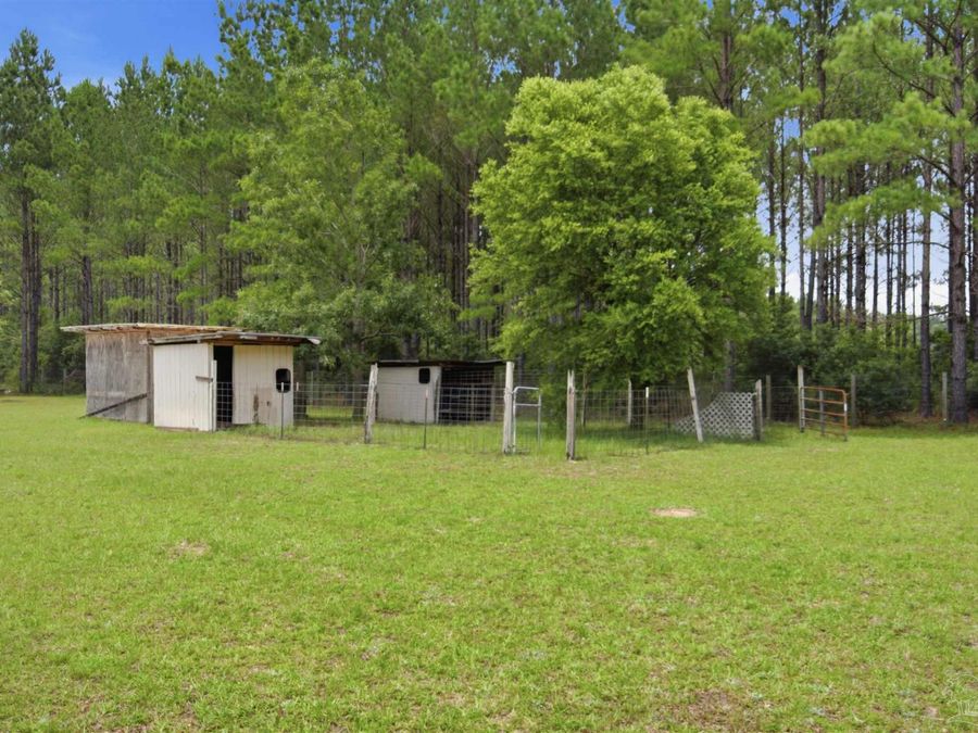 Property Image 45