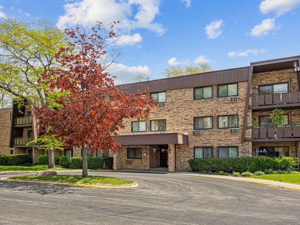2604 N Windsor Drive , Unit 207, Arlington Heights, IL 60004