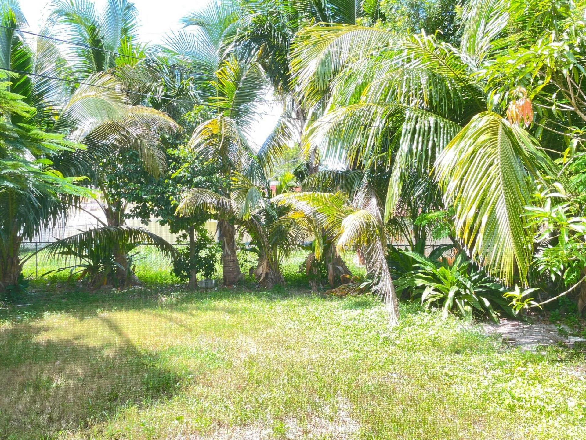 630 N 69th Avenue, Hollywood, FL 33024 Photo