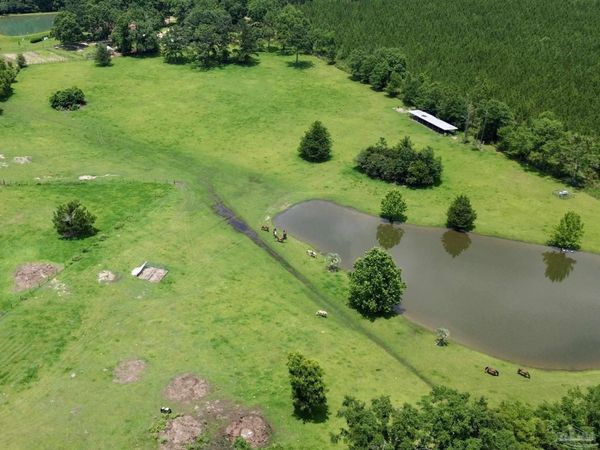 3010 N Hwy 97, Molino, FL 32577
