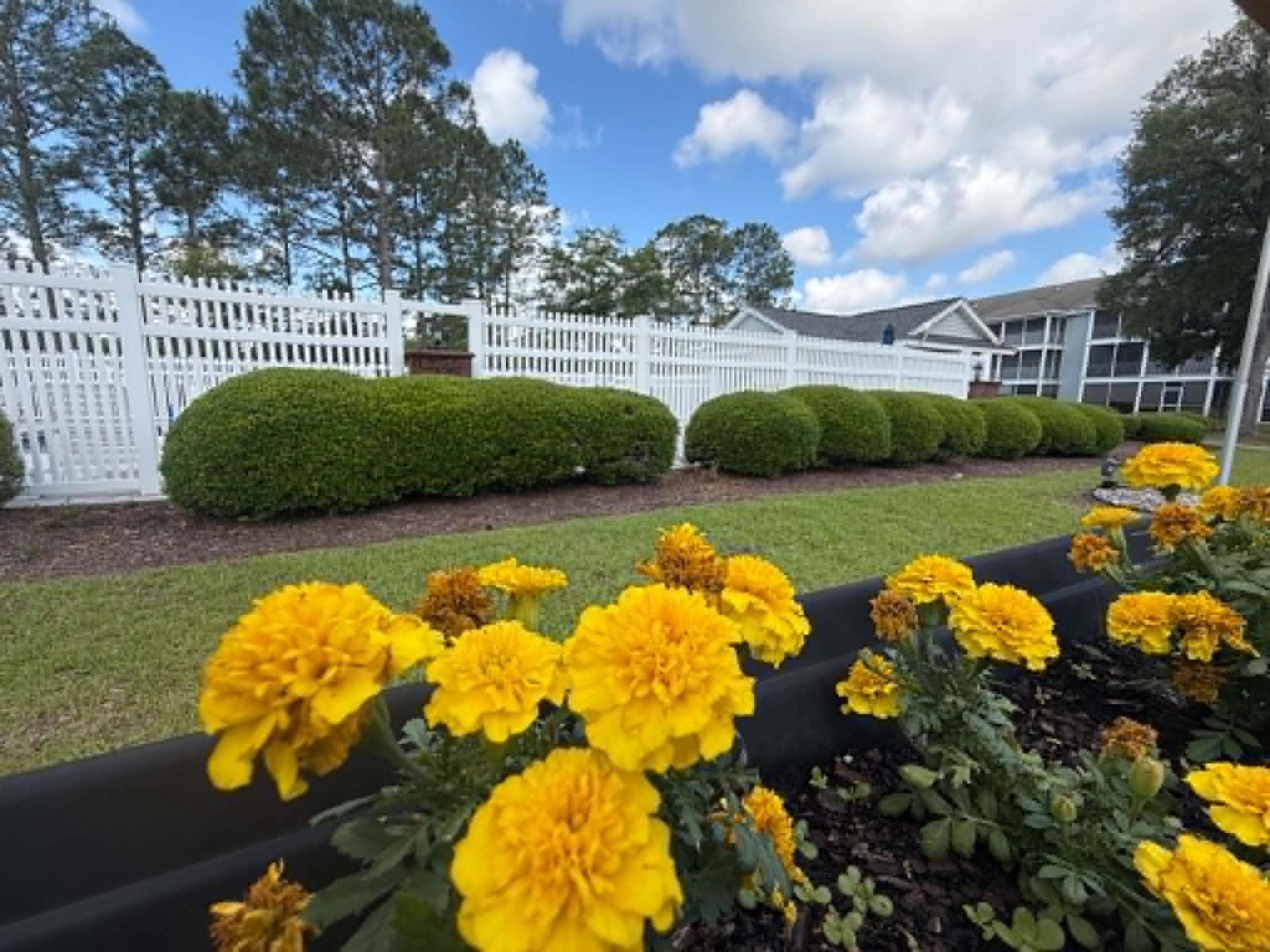4814 Innisbrook Ct. Photo 36