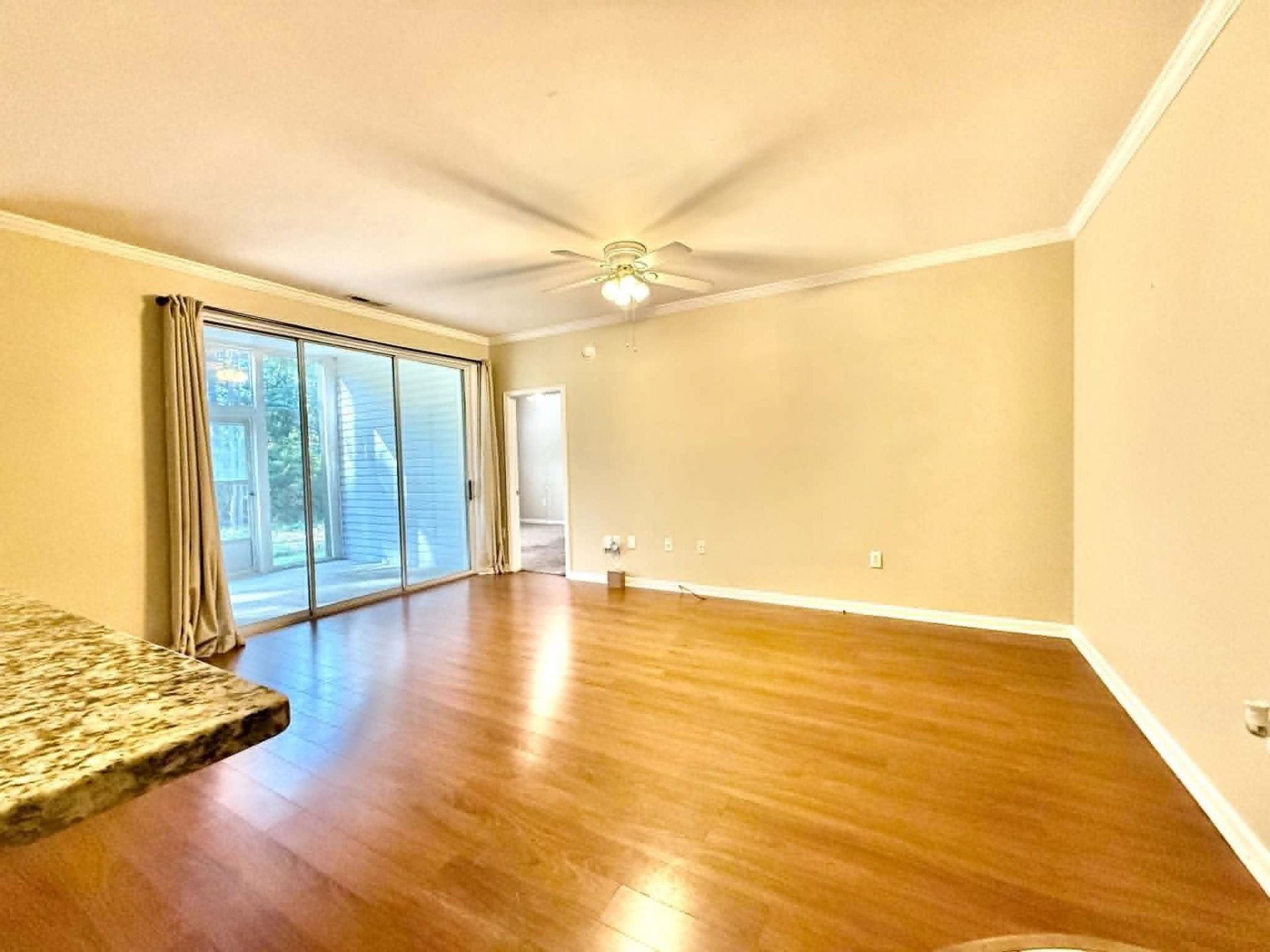 4814 Innisbrook Ct. Photo 4