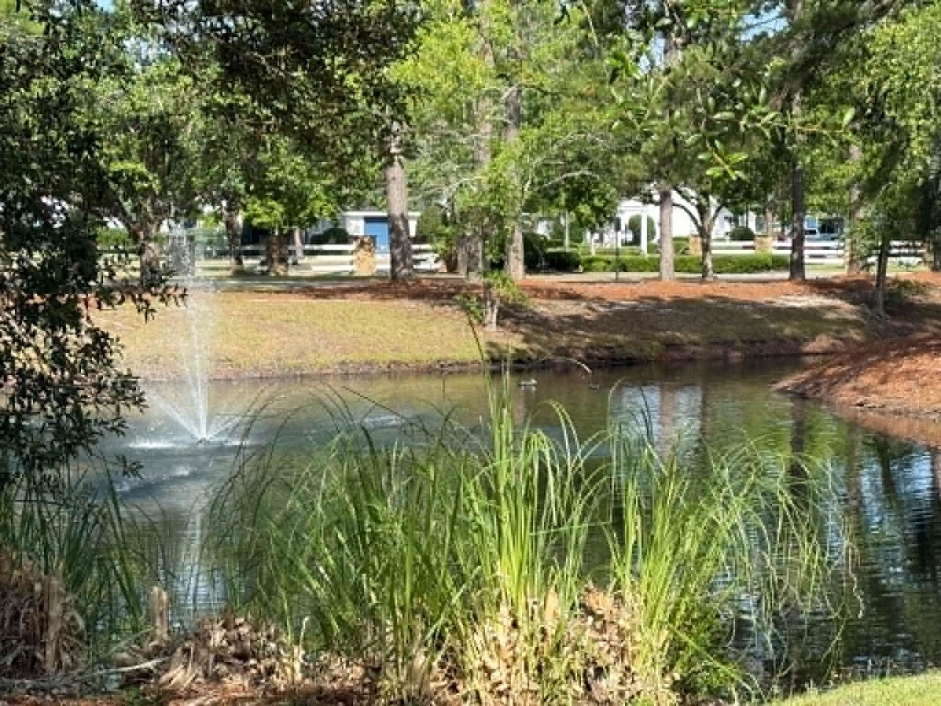 4814 Innisbrook Ct. Photo 40