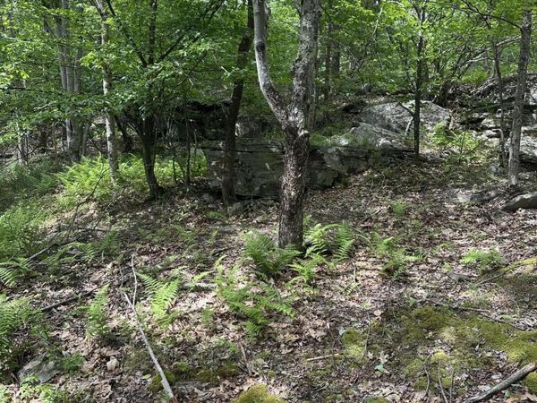 0 Route 40 , East Jewett, NY 12424