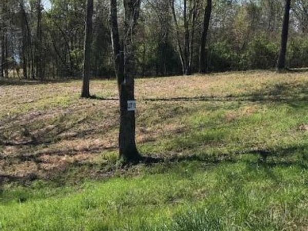 10 Piney View Drive , Spring City, TN 37381