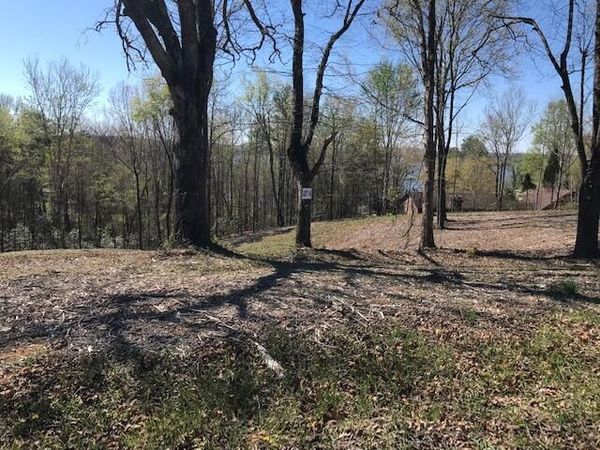 14 Piney View Drive , Spring City, TN 37381