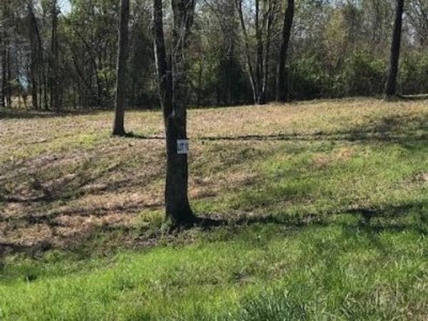 10 Piney View Drive, Spring City, TN 37381