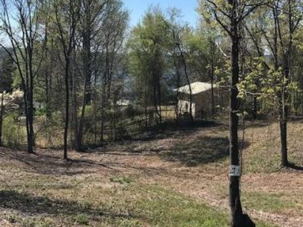 11 Piney View Drive , Spring City, TN 37381