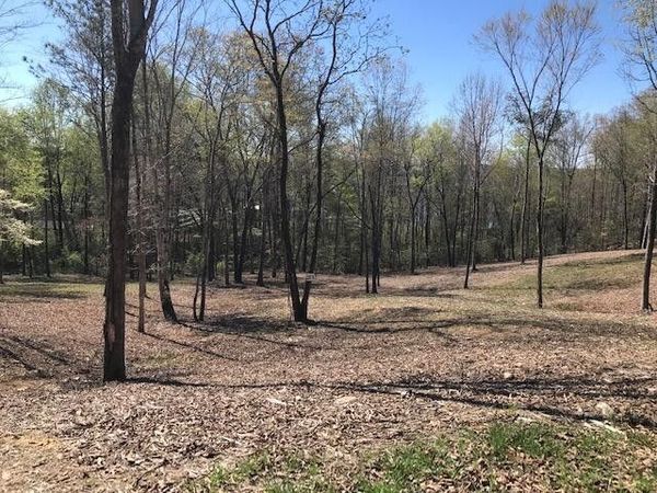 16 Piney View Drive , Spring City, TN 37381