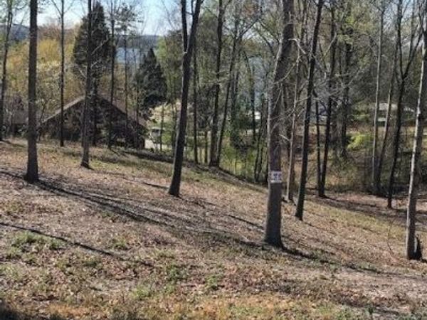 12 Piney View Drive , Spring City, TN 37381