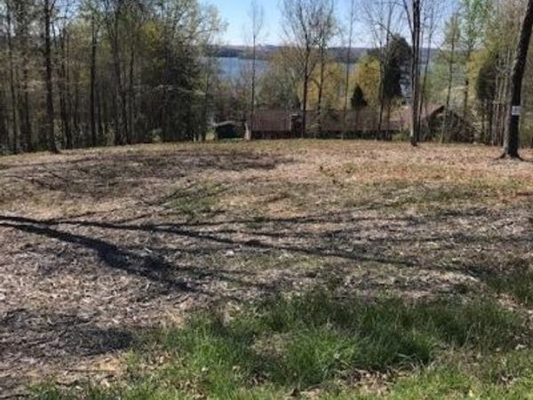 13 Piney View Drive , Spring City, TN 37381