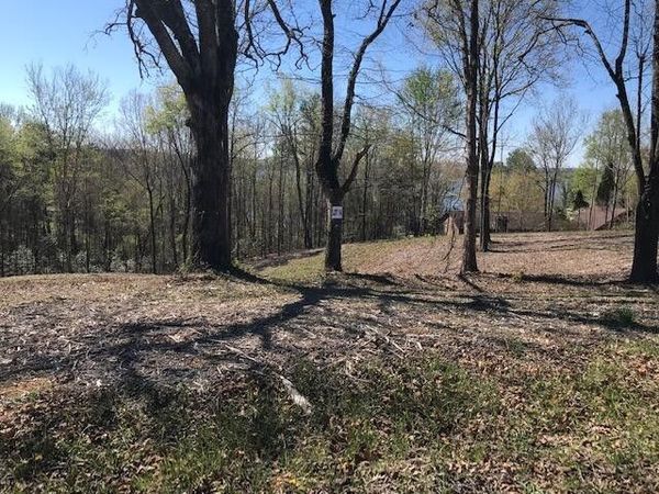 14 Piney View Drive , Spring City, TN 37381