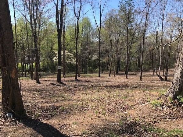 17 Piney View Drive , Spring City, TN 37381