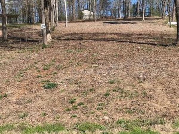 6 Piney View Drive , Spring City, TN 37381