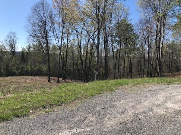 9 Piney View Drive , Spring City, TN 37381