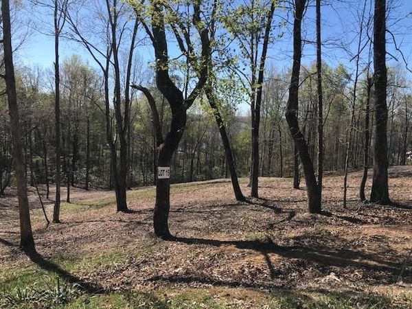 15 Piney View Drive , Spring City, TN 37381