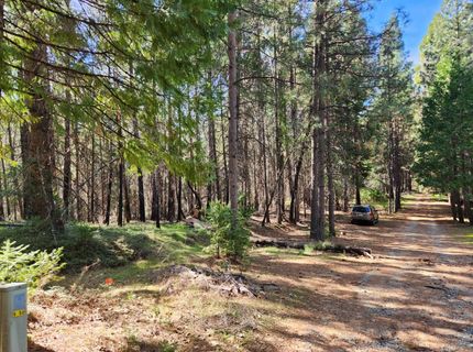 5303 Old Mine Rd, Grizzly Flats, CA 95636 Photo