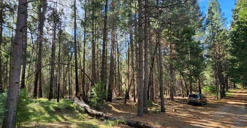 5303 Old Mine Rd, Grizzly Flats, CA 95636 Photo
