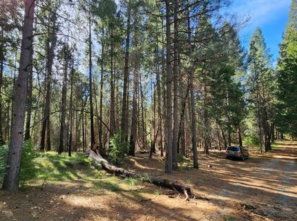 5303 Old Mine Rd, Grizzly Flats, CA 95636 Photo