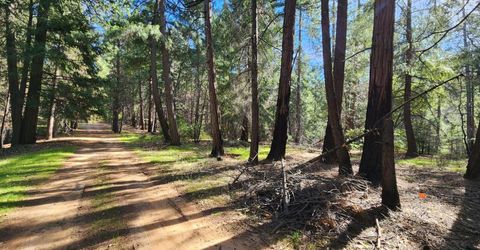 5303 Old Mine Rd, Grizzly Flats, CA 95636 Photo