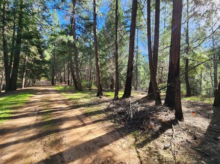 5303 Old Mine Rd, Grizzly Flats, CA 95636 Photo