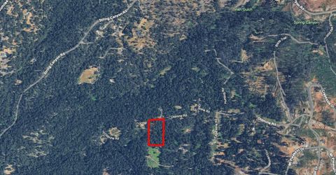 5303 Old Mine Rd, Grizzly Flats, CA 95636 Photo