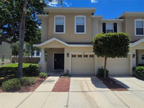 1138 ANDREW AVILES CIRCLE , TAMPA, FL 33619