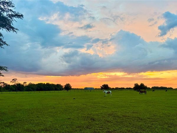 0000 ROBERTS ROAD , ONA, FL 33865