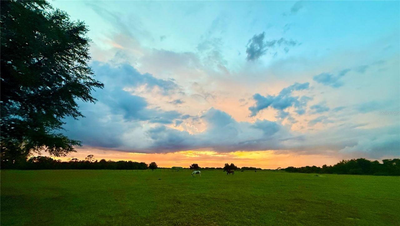 0000 Roberts Road , Ona, FL 33865 Photo