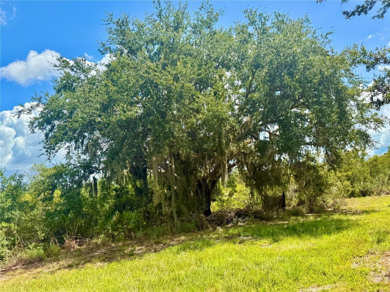 0000 Roberts Road , Ona, FL 33865 Photo