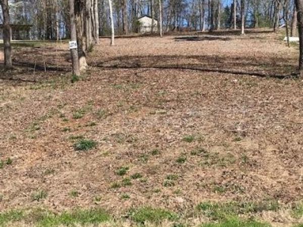 6 Piney View Drive , Spring City, TN 37381