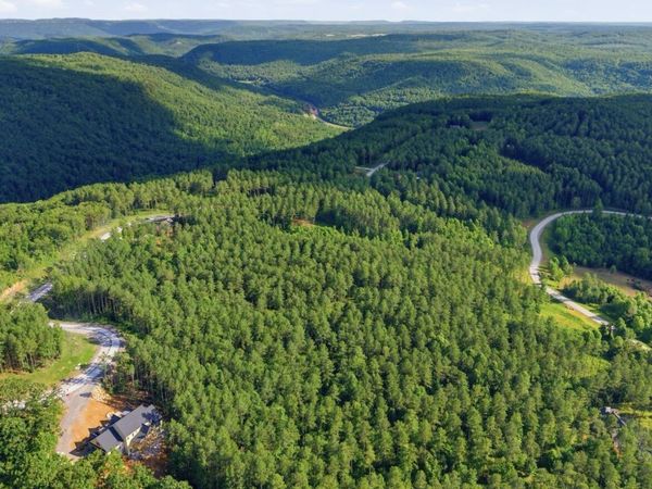 1141 Split Rail Way, Guild, TN 37340
