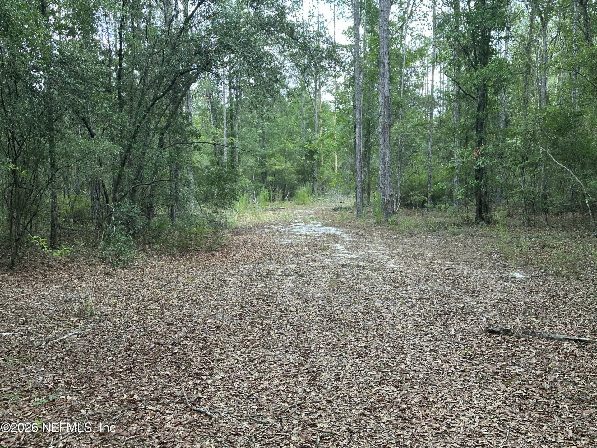 15422 Bullock Bluff Rd Road, Bryceville, FL 32009 Photo